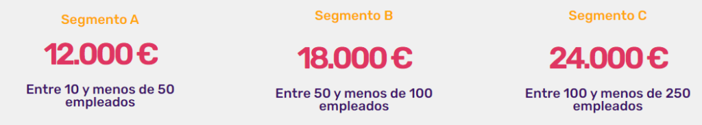 Segmento A 12.000 € Entre 10 y menos de 50 empleados Segmento B 18.000 € Entre 50 y menos de 100 empleados Segmento C 24.000 € Entre 100 y menos de 250 empleados